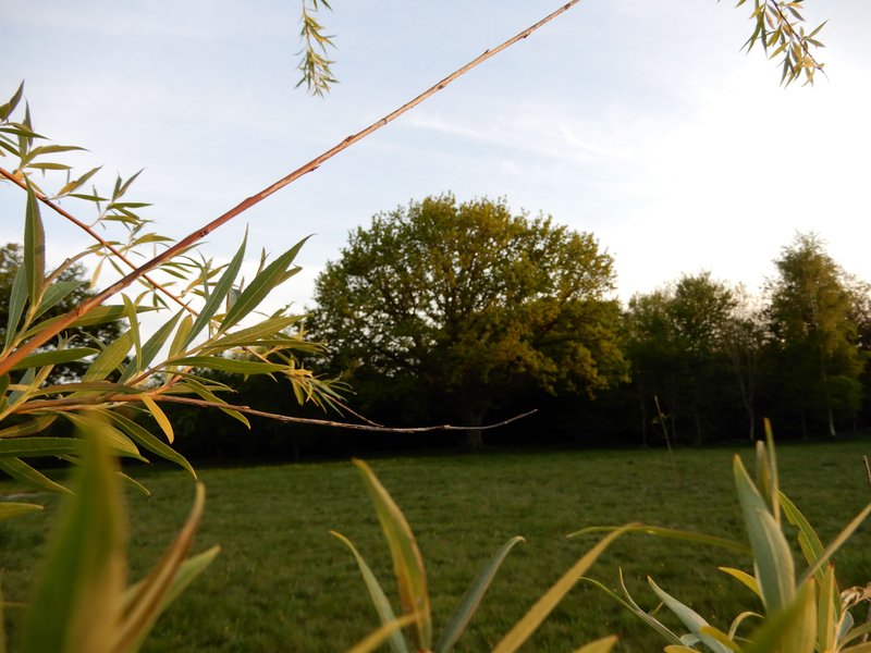 Hébergement AbracadaRoom : La Tiny House & SPA du Lutin Many - Image 40