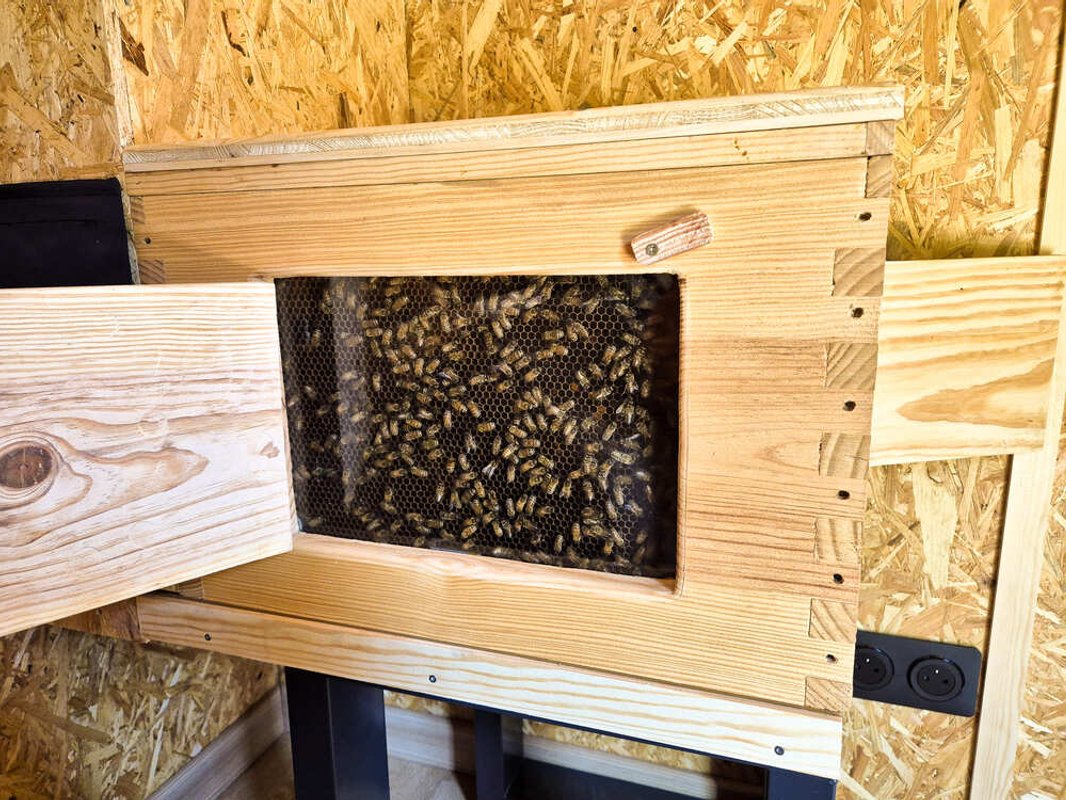 La Ruche - Atelier d'apiculture à Orange (3)