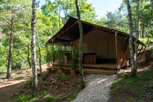 Safari Lodge