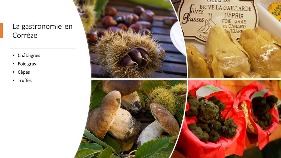 Domaine AbracadaRoom : Il était une fois... au cœur de nos bois - Image 15