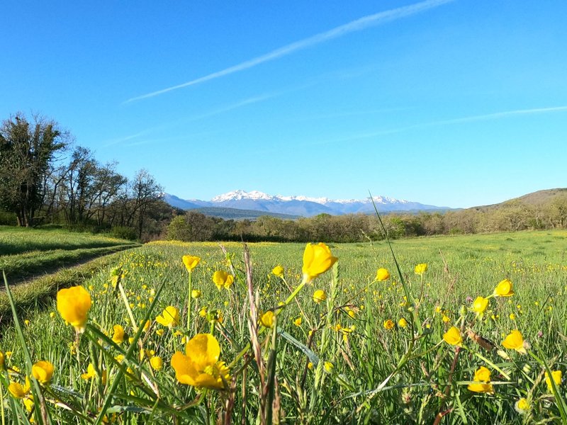 Domaine AbracadaRoom : Camping Le Roc del Rey - Image 4