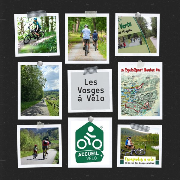 Domaine AbracadaRoom : Gîte Familial Scaravella - Image 45