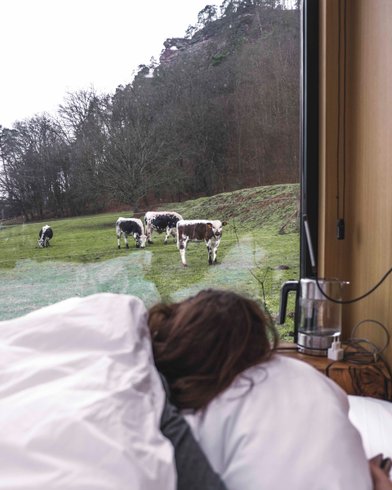 Hébergement AbracadaRoom : Lodge Lièvre - Image 14