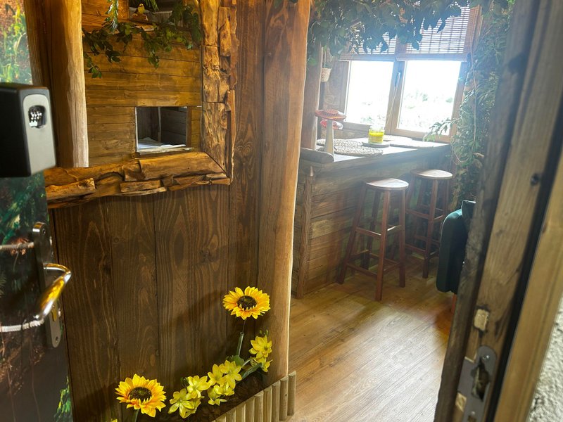 Hébergement AbracadaRoom : La Jungle Room de Paulette - Image 2