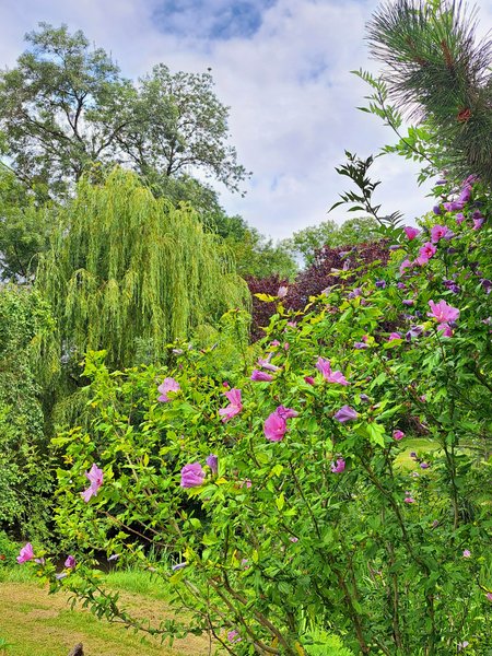Domaine AbracadaRoom : Le Moulin Etourneau - Image 5