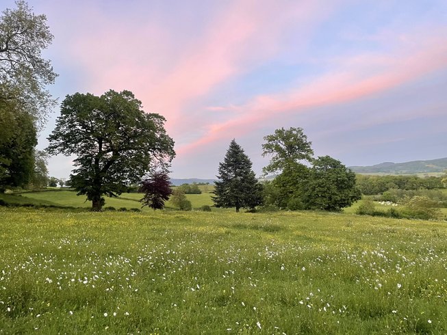 Domaine AbracadaRoom : Château de Vaux Morvan - Image 4