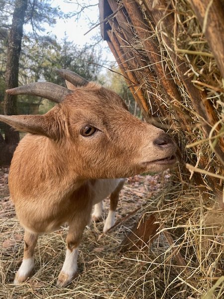 Domaine AbracadaRoom : Arborea - Image 21