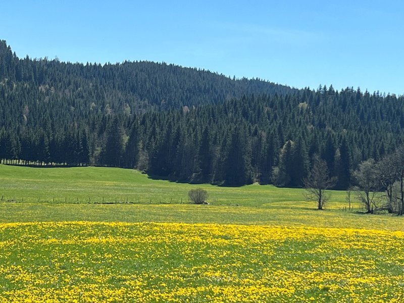 Domaine AbracadaRoom : Les Écrins du Val de Mouthe - Image 13