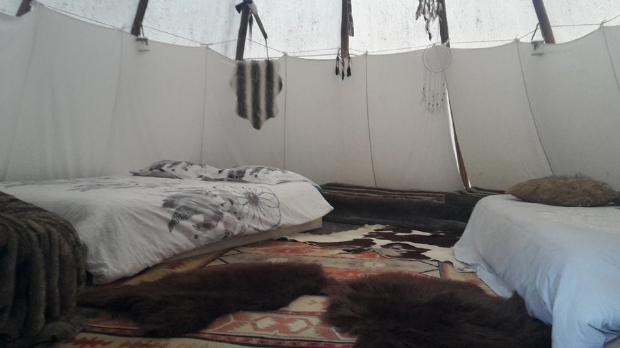 Hébergement AbracadaRoom : Sitting bull - Image 3