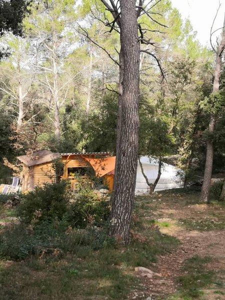 Domaine AbracadaRoom : YOURTE EN PROVENCE - Image 4