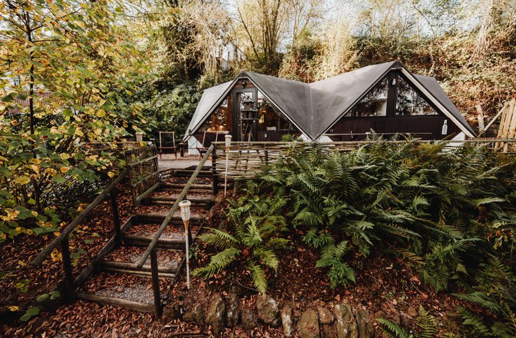 Domaine AbracadaRoom : In The Woods - Image 3