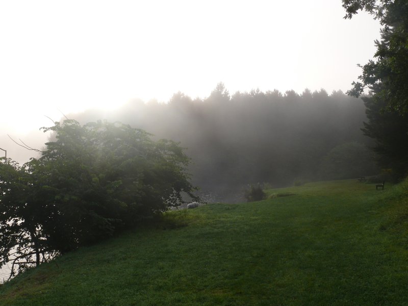 Hébergement AbracadaRoom : Plum'arbres 4 - Image 8