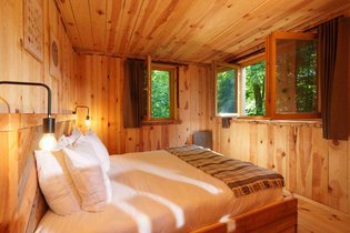 Coucoo Grands Chênes