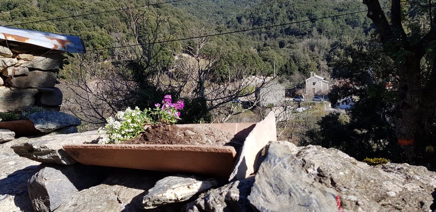 Domaine AbracadaRoom : Aghja Suttana - Image 1