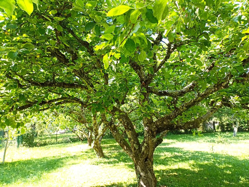Domaine AbracadaRoom : Domaine de la Comté - Image 4