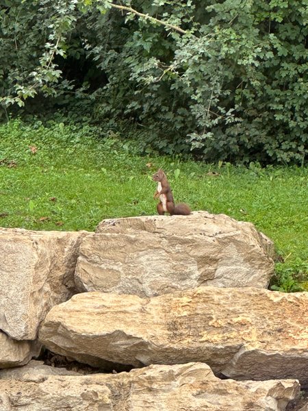 Hébergement AbracadaRoom : Mon Cabanon - Image 11