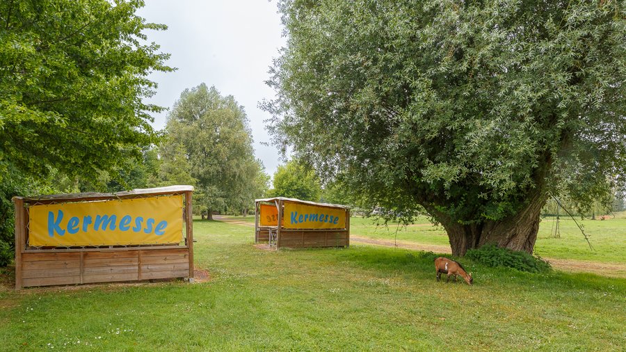 Domaine AbracadaRoom : Camping Seasonova Haliotis - Image 19