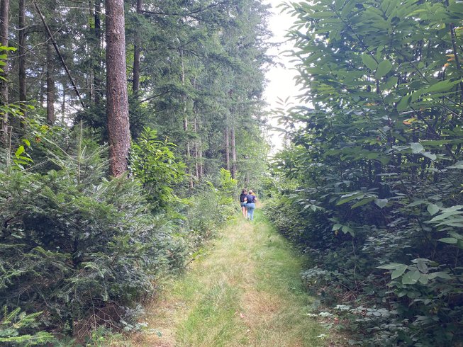 Domaine AbracadaRoom : Les terres de la chouette - Image 15