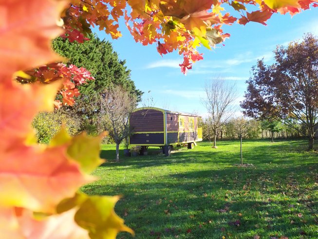 Hébergement AbracadaRoom : La roulotte "Sous le soleil" - Image 5
