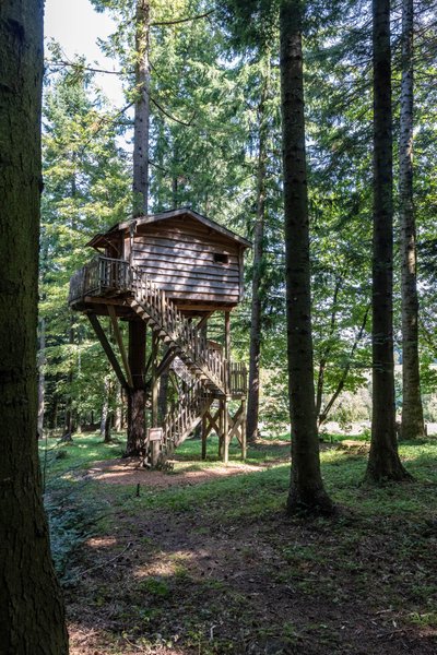 Hébergement AbracadaRoom : Cabane Hérisson - Image 5