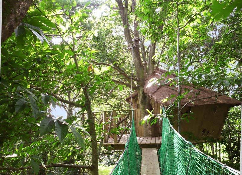 Hébergement AbracadaRoom : Cabane des Elfes - Image 2