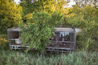 Coucoo Grands Cépages