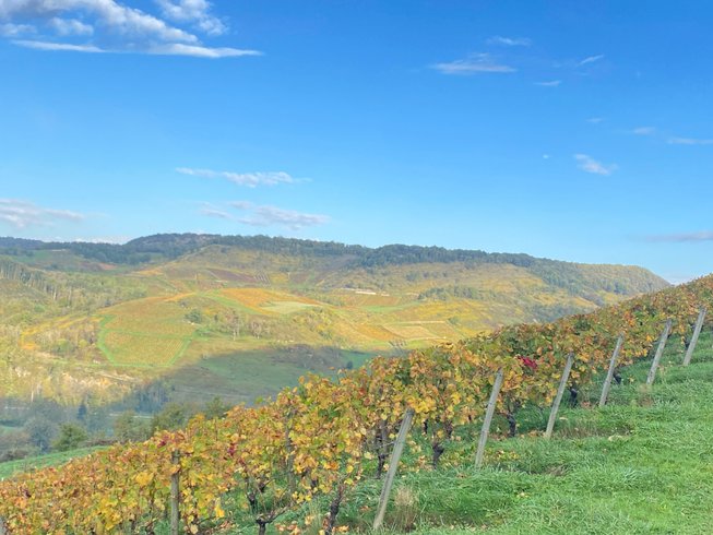 Domaine AbracadaRoom : Homnest (Boyeux) - Image 26