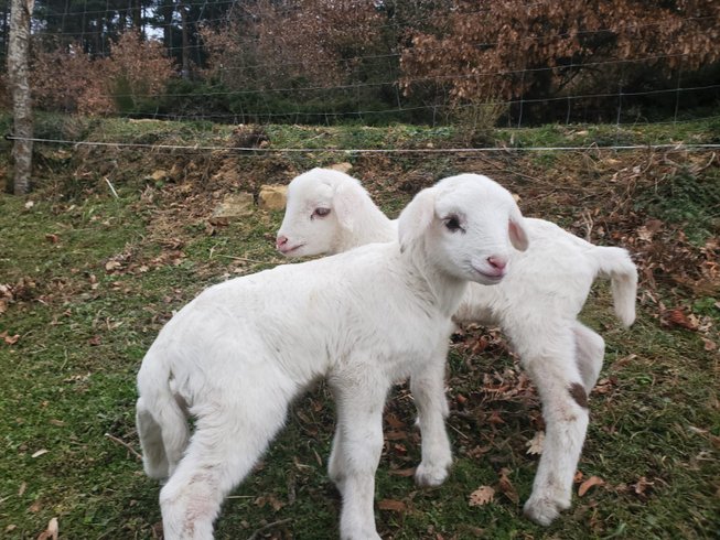 Domaine AbracadaRoom : Domaine Solio - Image 5