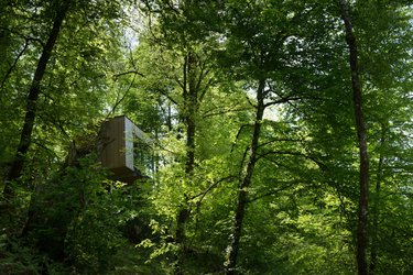 Cabane Pin à Meyrignac L’eglise (1)