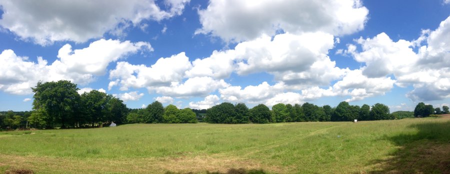 paysage_green_tree_glamping