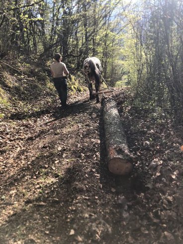 Domaine AbracadaRoom : Woody Ranch, séjour western dans le Vercors - Image 2