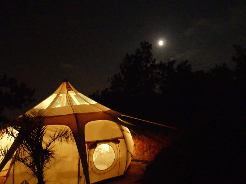 Hébergement AbracadaRoom : Tente lotus insolite - Image 3