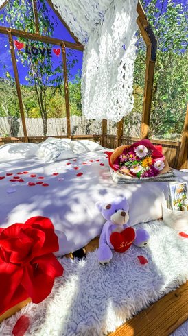 Domaine AbracadaRoom : Chalet en verre sous une pluie d’étoiles - Image 6