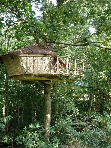 Hébergement AbracadaRoom : Cabane des Elfes - Image 1