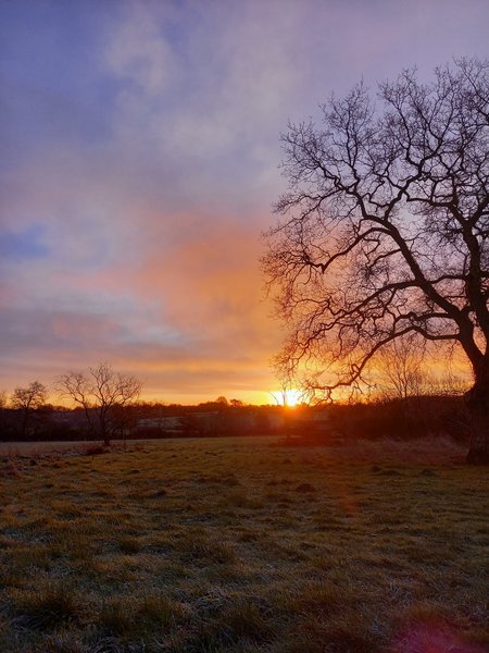 Domaine AbracadaRoom : Vignoble Insolite - Image 3