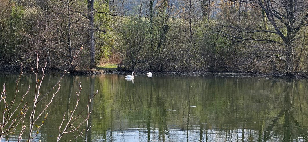 Hébergement AbracadaRoom : Chalet bord de l’eau · Proche provins · détente - Image 24