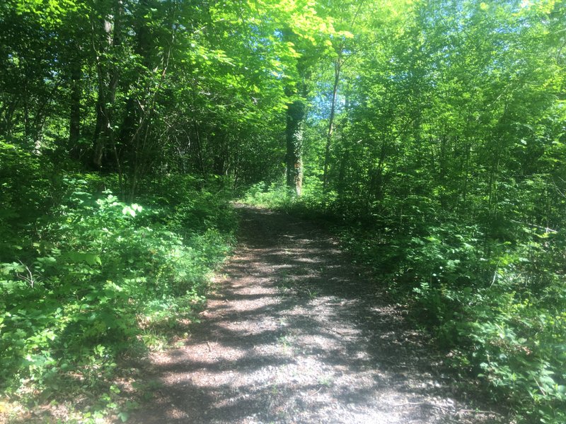 Domaine AbracadaRoom : Caban'Aspe - Image 4