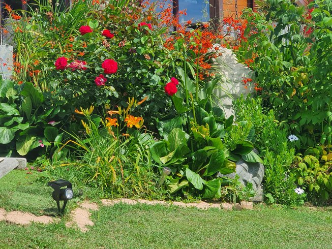 Hébergement AbracadaRoom : BALI BULLE - Image 15