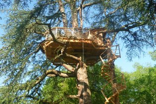Cabane dans les arbres Indre-et-Loire
