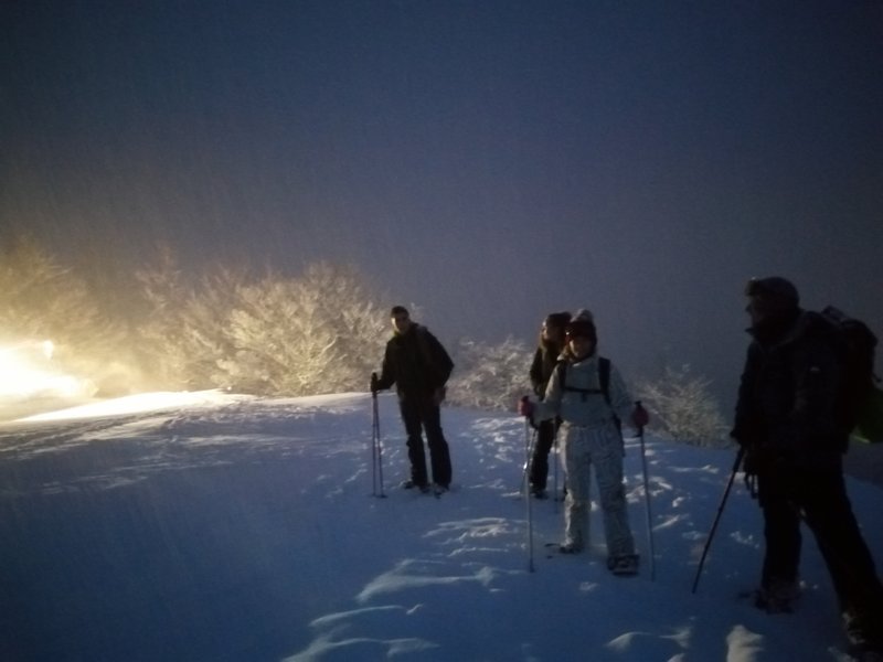 Domaine AbracadaRoom : L' Aventure Nordique - Station de ski de Gourette - Image 18