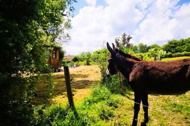 La Roulotte des Clartés à Antully (2)