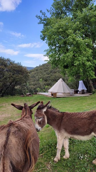 Domaine AbracadaRoom : Mas Saber - Image 24