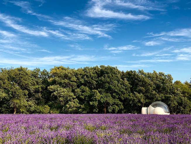 Domaine AbracadaRoom : Bulle du Lavandin - Image 4