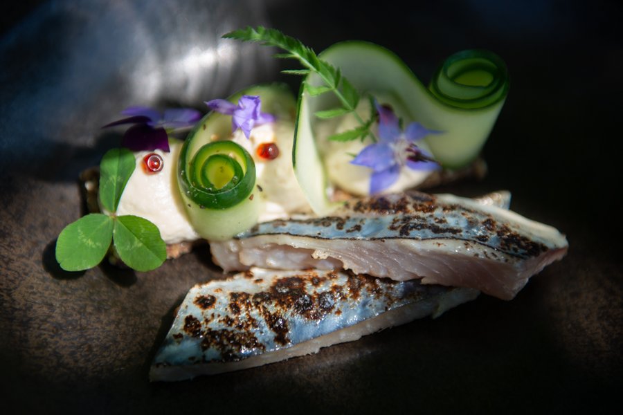 Hébergement AbracadaRoom : Tiny House Familiale - Image 14