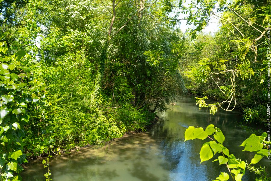 Domaine AbracadaRoom : Le domaine de Wail - Image 33