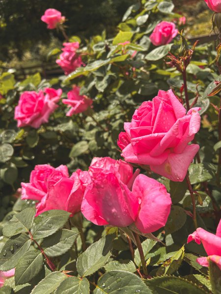 Domaine AbracadaRoom : K-hutes - Image 11