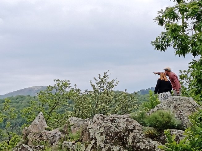 Domaine AbracadaRoom : ECOLIEUX l'Arbre de Vie en Ardèche - Image 5