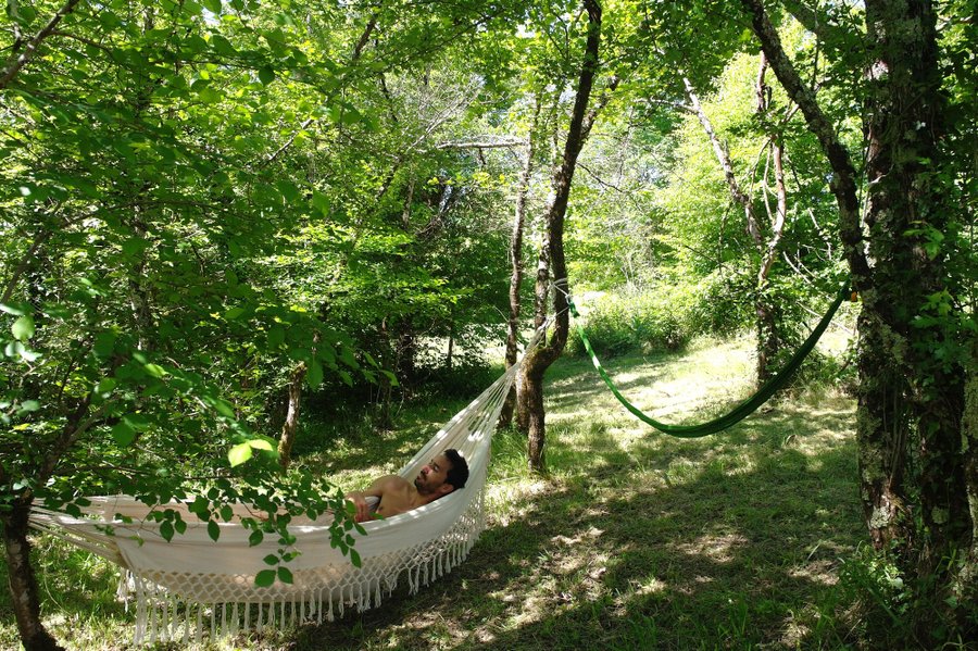 Domaine AbracadaRoom : Le Cri de la Yourte - Image 3