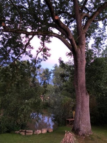 Domaine AbracadaRoom : Chalet Pulligny - Image 10