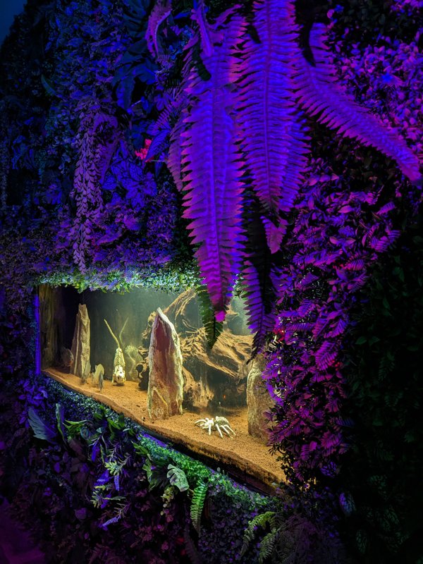 Nuit insolite avec Spa, sauna et jardin privatifs immersion en AMAZONIE à Le Passage D'agen (25)